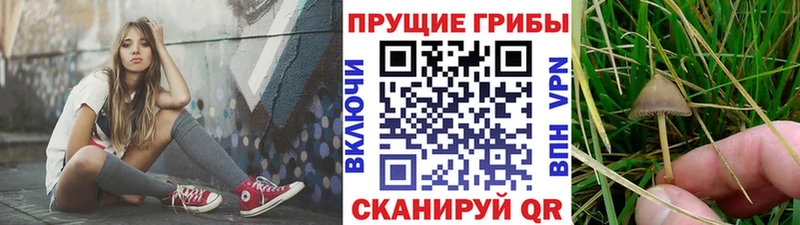 Галлюциногенные грибы MAGIC MUSHROOMS  Артёмовский 